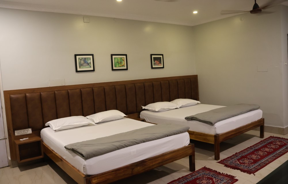 Rooms Pictures